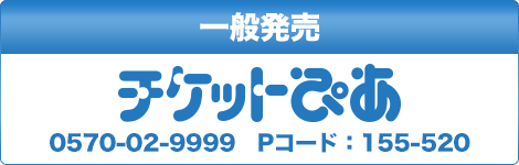 ショーンメンデス　ライブチケット