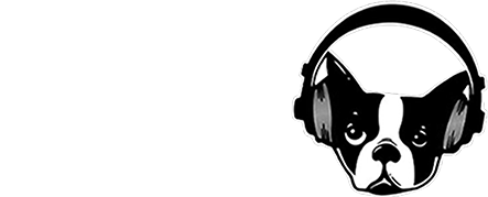 HIATUS KAIYOTE × SNARKY PUPPY | ハイエイタス・カイヨーテ × スナーキー・パピー 2026 来日公演公式