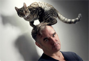 morrissey1
