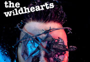 wildhearts1