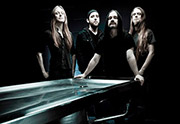 carcass